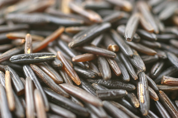 the black rice macro shot