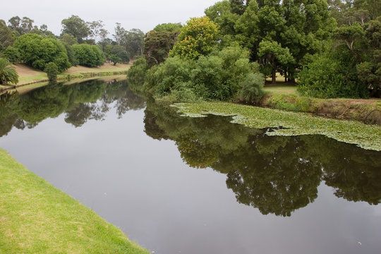 A Tree Lined Parramatta River, NSW, Australia