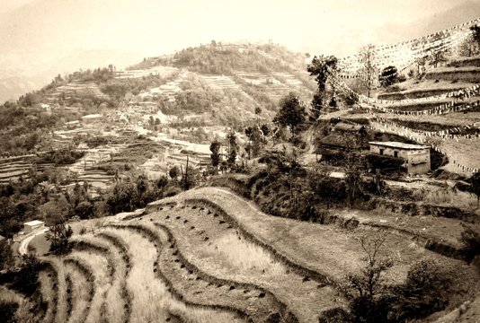 Terrassebfelder in Nepal