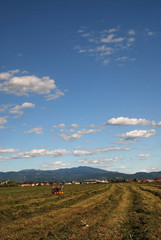 Fototapeta premium sunny day and dramatic sky...