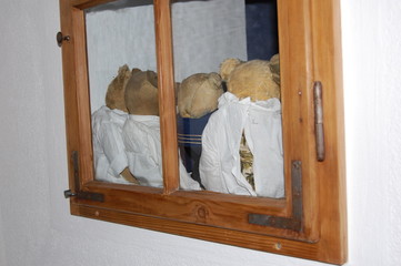 Bären im Fenster