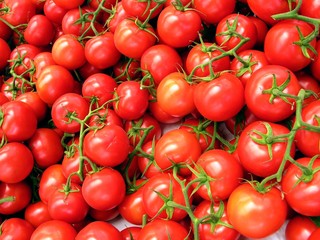 red cluster tomatoes