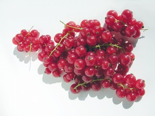 red currants cluster fruits