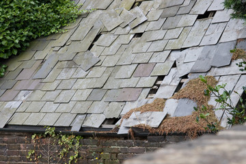 Derelict Roof