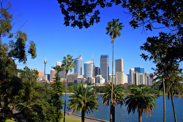 Sydney skyline ..