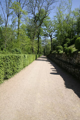 Fototapeta na wymiar ścieżki prowadzącej wokół ogrodów Marqueyssac, Francja