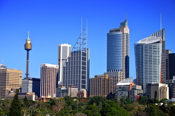 Fototapeta na wymiar Sydney skyline ..