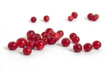 Scattering of cranberries on white background