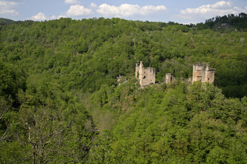 mediaval castle in forest france