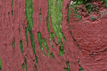 Grungy detail of an old fence