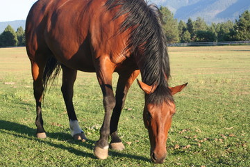 Up-close and personal