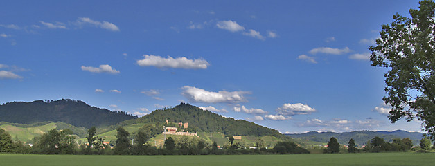 Fototapeta premium Schwarzwald