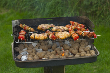 shaslick and chops on the barbecue