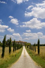 Fototapeta na wymiar Path leas to a beautiful house in Chianti, tuscany.