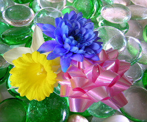 Chrysanthemum,Daffodil.Bow
