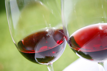Vino Tinto