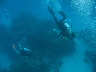 Fototapeta na wymiar Scuba divers 2