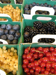 petits fruits en barquette