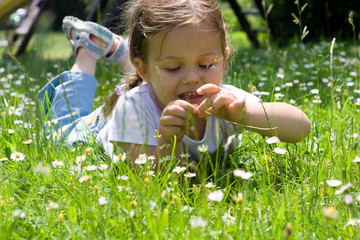 in the grass