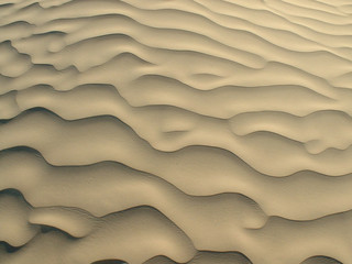 Désert de Tunisie