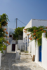 greek island street scene old building with flowers  greece