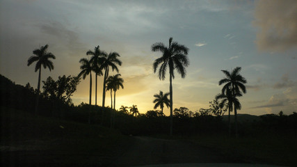 Obraz na płótnie Canvas Sonnenuntergang mit Palmen