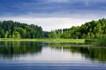 Fototapeta na wymiar Jezioro i las.