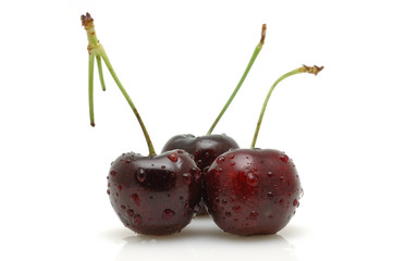 Three cherries with water drops