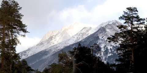 Caucasus Mountains on sunset with trees on foreground