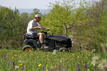 man cutting grass in field