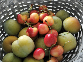 green plums and rainier cherries