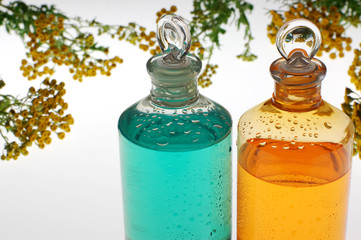 Bottles with aromatic oil and flowers on white