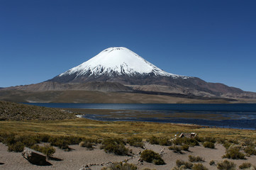 Mainain in National Park Lauca