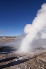 Tatio Geysers on the Altiplano in Chile