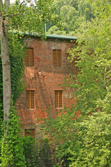 Fototapeta na wymiar Old Building in Trees