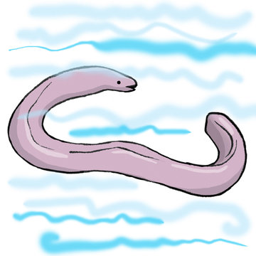 anguila
