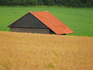 Obraz premium Hütte im Kornfeld