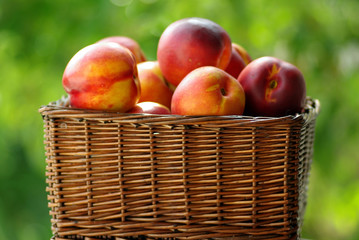 Small hamper of fruit 