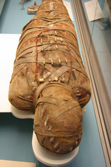 Egyptian Mummy © Spiroview Inc.