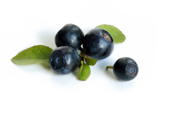 bilberries macro