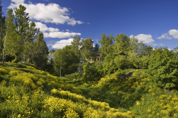 Panoramic photo of spring landscape with blue sky