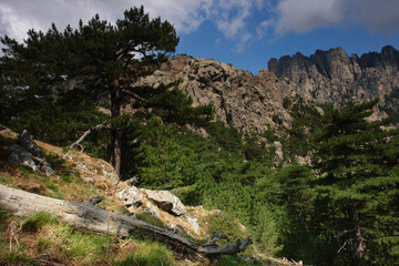 corse aiguilles de bavella 