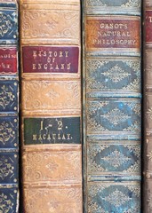 Fototapeta premium Row of Antiquarian Books