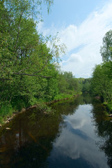Fototapeta na wymiar bank of the river, green grass and blue sky