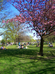 Berlin Treptower Park