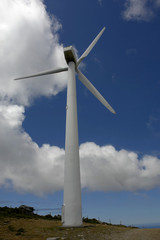 Fototapeta premium Wind turbines farm in the top of the mountain