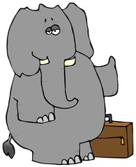 Elephant Hitchhiker