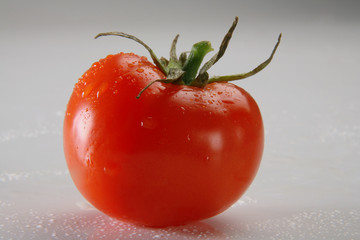 One tomato on neutral background, with water drops
