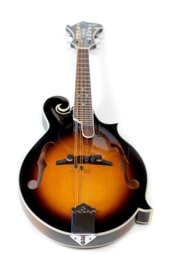 Close up of a mandolin on a white background.