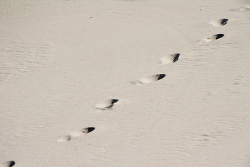 sandy beach